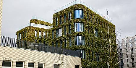Kita Baakenhafen als Beispiel für urbane Begrünung