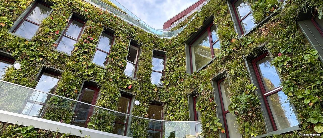 Kita Baakenhafen Hamburg: 1.883 m² lebendige Grünfassade mit über 143.000 Pflanzen