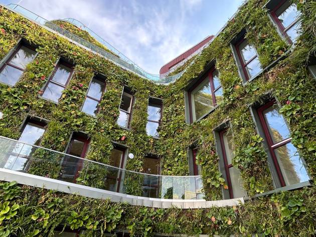 Kita Baakenhafen Hamburg: 1.883 m² lebendige Grünfassade mit über 143.000 Pflanzen