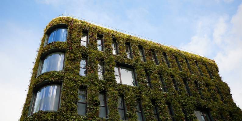 Kita Baakenhafen Hamburg mit begrünter Fassade